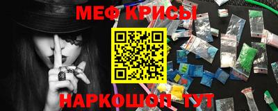 индика Сланцы
