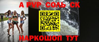индика Сланцы