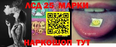 индика Сланцы