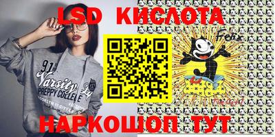 индика Сланцы