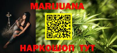индика Сланцы