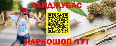 индика Сланцы