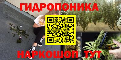 молекула духа Славянск-на-Кубани