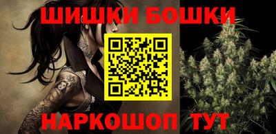 индика Сланцы