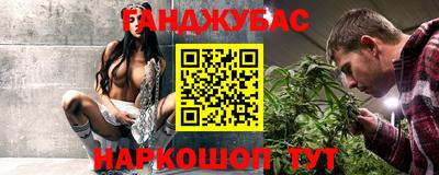 индика Сланцы