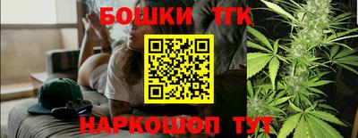 индика Сланцы
