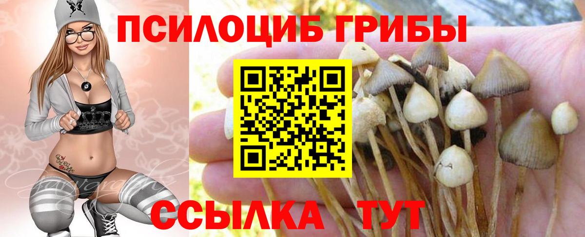 Псилоцибиновые грибы Psilocybe  Вход с VPN  Борисоглебск 